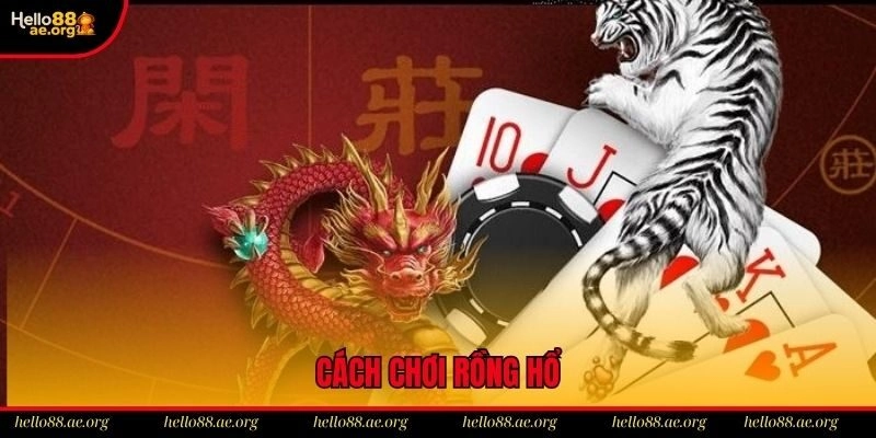 Cách Chơi Rồng Hổ – Bí Quyết Trăm Trận Trăm Thắng 2025